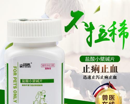 腹泻出血如何治疗？（选择适合的药物缓解症状，恢复肠道健康）