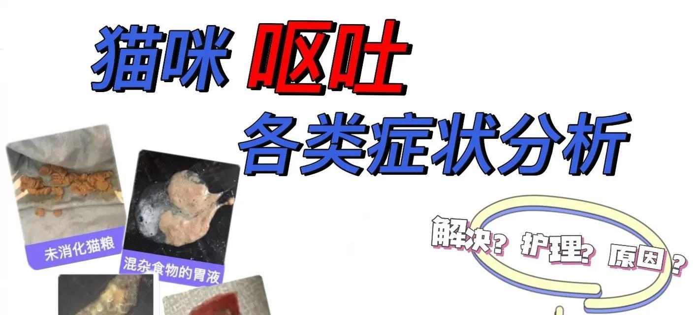 揭秘猫咪呕吐的原因（探究猫咪呕吐的种种情况与解决方法）