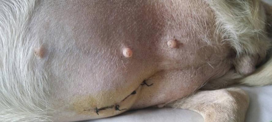 深入了解以泰迪宫缩症状