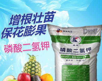 养杜高的注意事项（打造健康快乐的杜高生活）