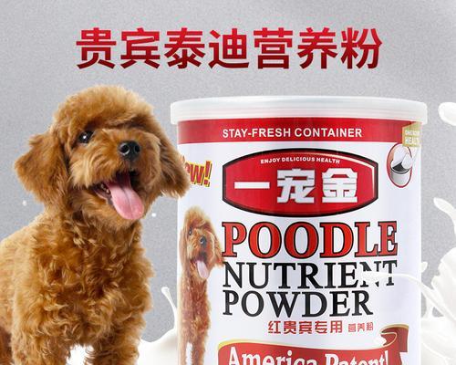 泰迪犬的保健品选择指南（了解泰迪犬的营养需求，选择适合的保健品）