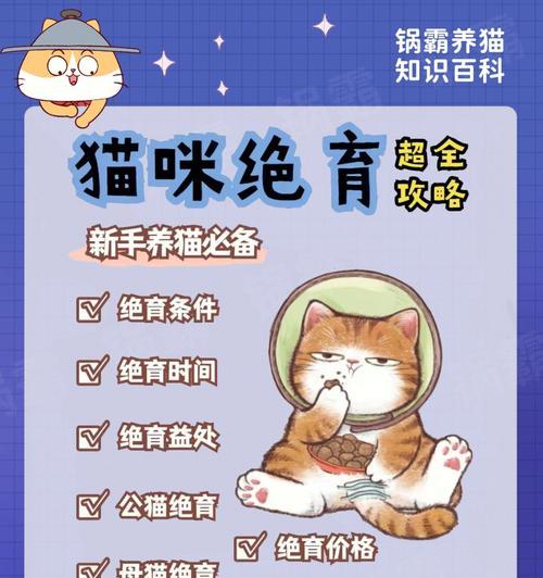 猫绝育后的注意事项（细心呵护，让猫咪更健康）