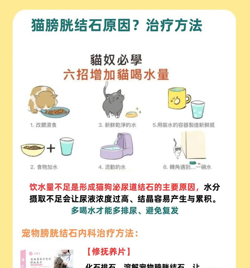 猫为什么突然尿在床上？（探究猫突然改变尿尿习惯的原因和解决办法）