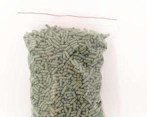 小鳄鱼龟不吃东西？怎么办？（饲养小鳄鱼龟需要注意的关键问题及解决方法）