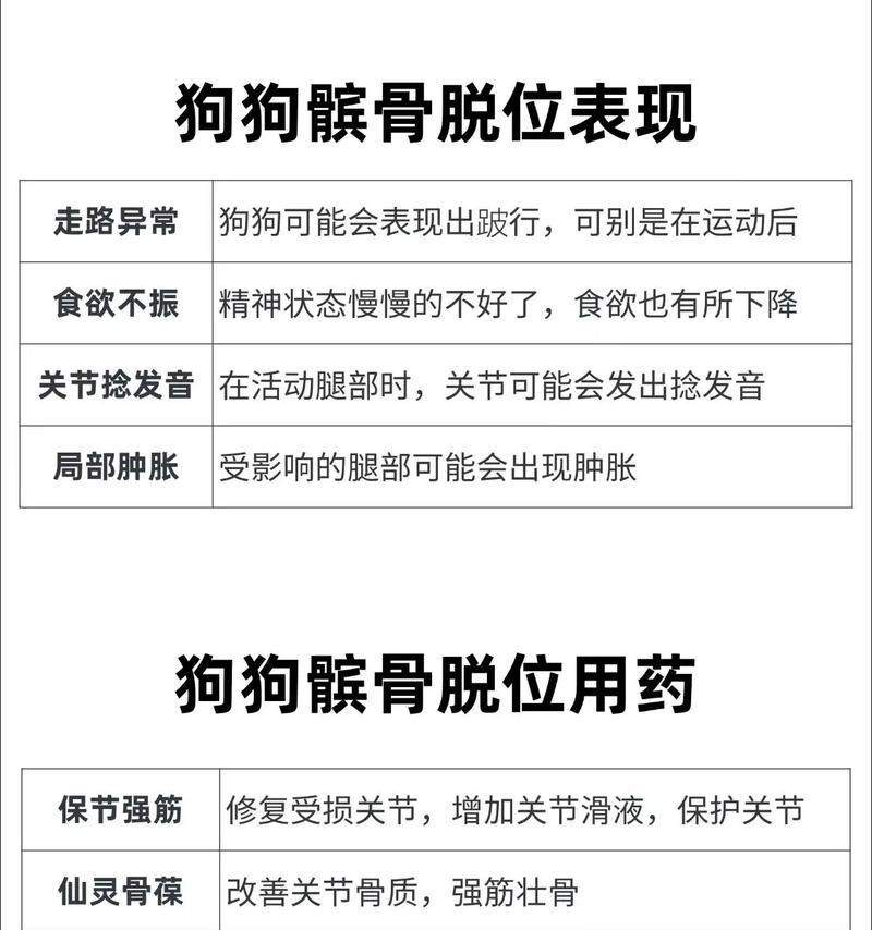 狗的预防性药物使用指南（了解狗需要的预防性药物，宠物健康的关键！）