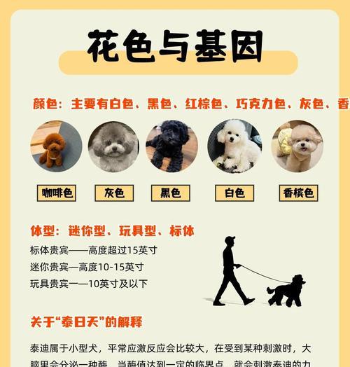 泰迪狗公狗配对的最佳时机（探讨泰迪狗公狗配对的最佳时机及注意事项）