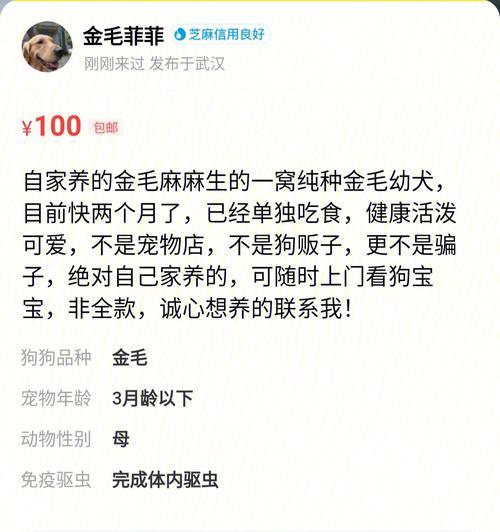 七彩闲鱼的饲养技巧与水质关系探析（水质是养鱼的关键，做好水质管理才能健康饲养）