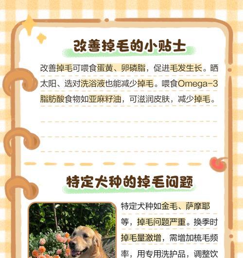 狗狗脱毛周期及常见处理方法（探究狗狗脱毛周期与脱毛处理的关键方法）