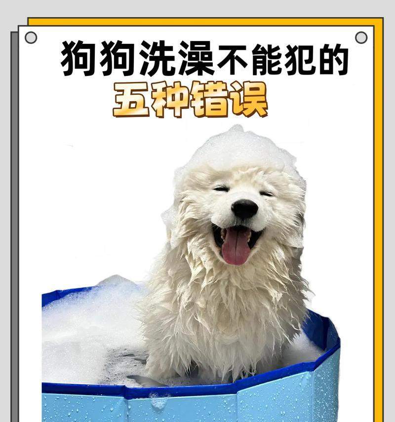 宠物狗生小狗多久后能洗澡的时机与注意事项（如何科学合理地为新生小狗洗澡以及洗澡前后的护理）