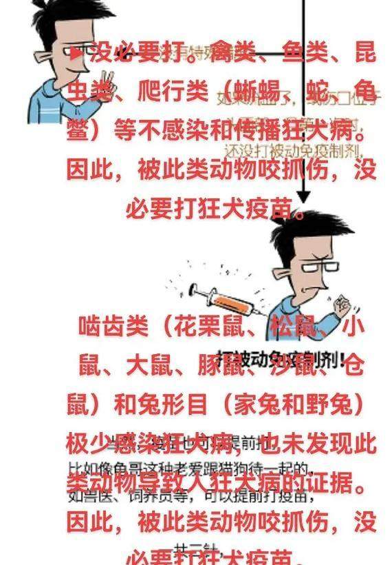 狗狗接种狂犬疫苗后多久起效？（揭秘狗狗接种狂犬疫苗的时间和效果）