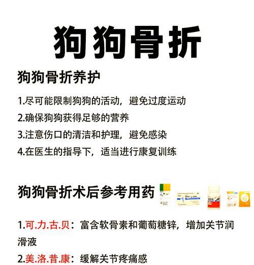 让宠物狗健康快乐生活，从平常护理开始（掌握这些要点，让狗狗更健康更快乐）