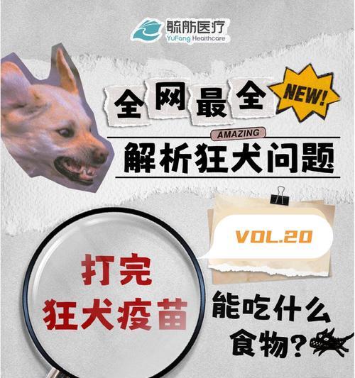 以狗打完狂犬疫苗多久可以洗澡？（了解狂犬疫苗和洗澡的关系，保护宠物健康）