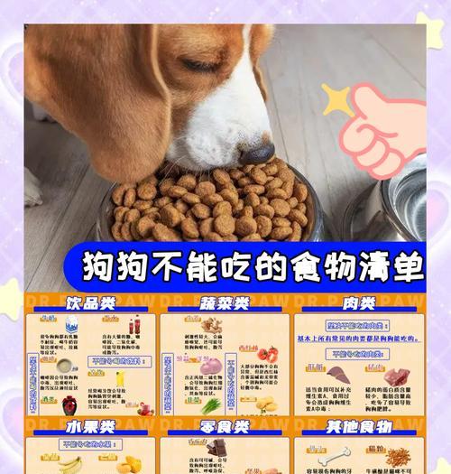 狗狗进食后多久会排便？（揭秘狗狗排便时间的秘密，了解你的宠物需求）