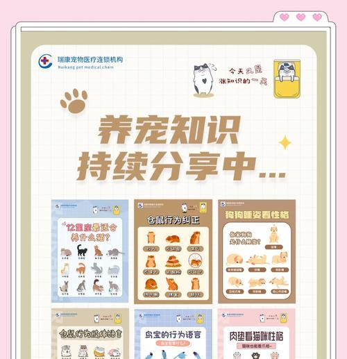 鹦鹉的寿命究竟有多长？（揭秘鹦鹉的长寿奥秘，让你掌握延长鹦鹉寿命的方法）