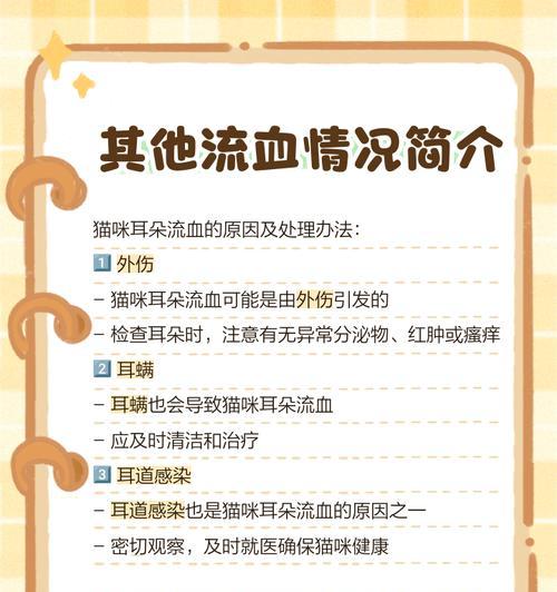 猫产后流血时间及护理指南（了解猫产后流血时间和正确护理的关键）