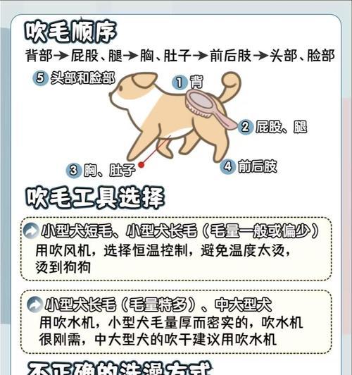 宠物狗买回来多久可以洗澡？（洗澡时机的关键是什么？）