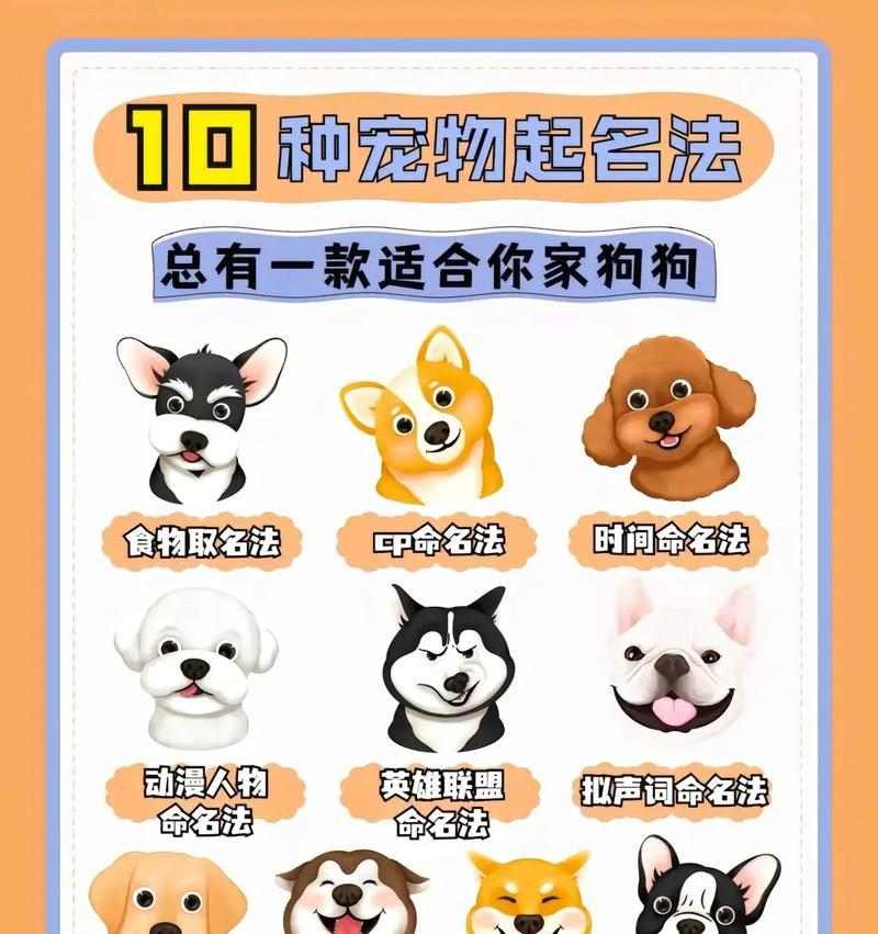 选择小狗名字的重要手续（为你的小狗选择一个恰当的名字的15个步骤）