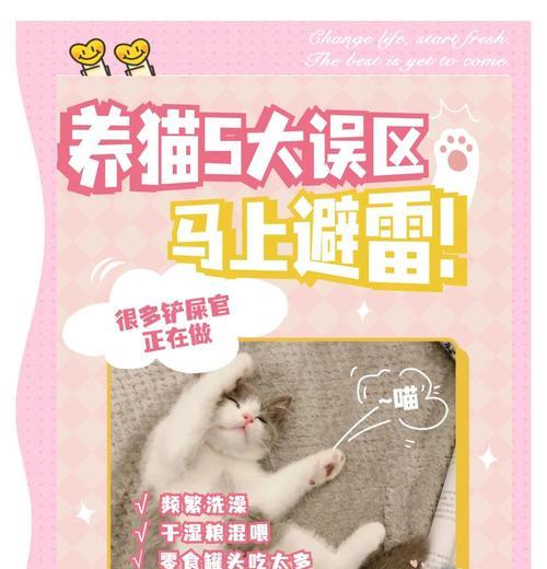 小猫回家多久可以洗澡？（适当时间洗澡是小猫健康的关键）