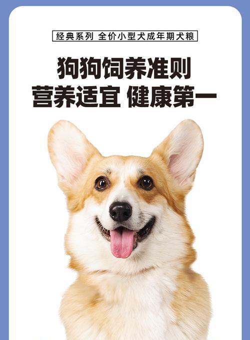 美毛宝典（发现6种狗粮成分，为泰迪独家定制的美毛秘籍！）