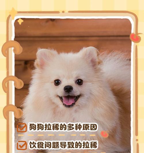 幼犬拉肚子的危险期及应对方法（幼犬拉肚子的时间节点与关键阶段，养犬人必须掌握）