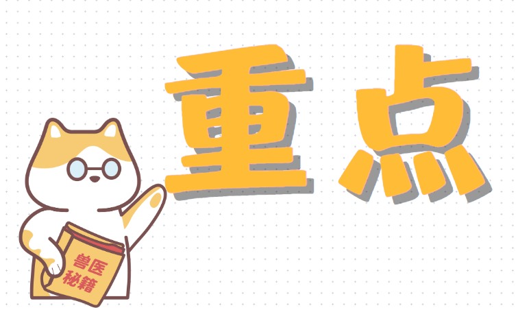 猫咪大量掉毛怎么办?