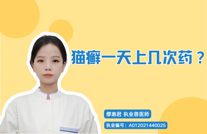 猫癣一天上几次药?