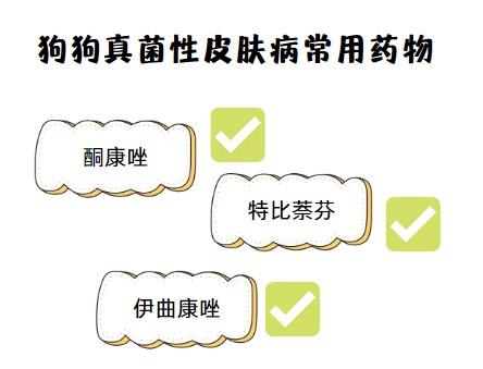 皮特芬喷剂能治疗狗狗皮肤病吗?