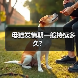 母猫发情期一般持续多久？（图3）