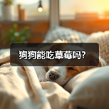 狗狗能吃草莓吗?(图1) 狗狗能吃草莓吗?(图1)