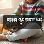 狗狗有很多眼屎正常吗?(图2) 狗狗有很多眼屎正常吗?(图2)