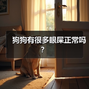 狗狗有很多眼屎正常吗?(图3) 狗狗有很多眼屎正常吗?(图3)