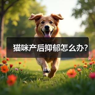 猫咪产后抑郁怎么办？（图3）