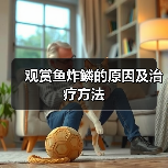 观赏鱼炸鳞的原因及治疗方法(图4) 观赏鱼炸鳞的原因及治疗方法(图4)