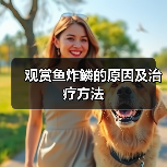 观赏鱼炸鳞的原因及治疗方法(图2) 观赏鱼炸鳞的原因及治疗方法(图2)
