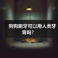 狗狗刷牙可以用人类牙膏吗?(图1) 狗狗刷牙可以用人类牙膏吗?(图1)
