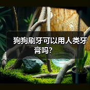 狗狗刷牙可以用人类牙膏吗?(图4) 狗狗刷牙可以用人类牙膏吗?(图4)