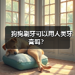 狗狗刷牙可以用人类牙膏吗?(图2) 狗狗刷牙可以用人类牙膏吗?(图2)
