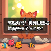 高温预警!狗狗脚垫被地面烫伤了怎么办?(图4) 高温预警!狗狗脚垫被地面烫伤了怎么办?(图4)