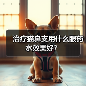 治疗猫鼻支用什么眼药水效果好?(图3) 治疗猫鼻支用什么眼药水效果好?(图3)