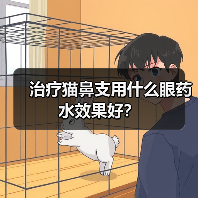 治疗猫鼻支用什么眼药水效果好?(图4) 治疗猫鼻支用什么眼药水效果好?(图4)