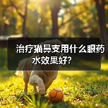 治疗猫鼻支用什么眼药水效果好?(图2) 治疗猫鼻支用什么眼药水效果好?(图2)