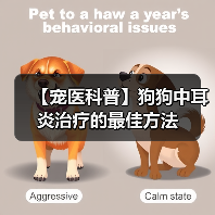 【宠医科普】狗狗中耳炎治疗的最佳方法(图1) 【宠医科普】狗狗中耳炎治疗的最佳方法(图1)