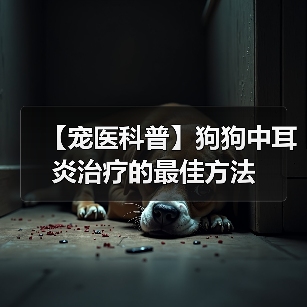【宠医科普】狗狗中耳炎治疗的最佳方法(图4) 【宠医科普】狗狗中耳炎治疗的最佳方法(图4)