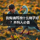 狗狗滴耳液什么牌子好？养狗人必备（图4）