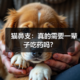 猫鼻支:真的需要一辈子吃药吗?(图2) 猫鼻支:真的需要一辈子吃药吗?(图2)