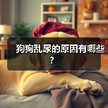 狗狗乱尿的原因有哪些?(图2) 狗狗乱尿的原因有哪些?(图2)