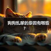 狗狗乱尿的原因有哪些?(图4) 狗狗乱尿的原因有哪些?(图4)