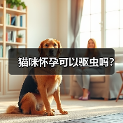猫咪怀孕可以驱虫吗?(图2) 猫咪怀孕可以驱虫吗?(图2)