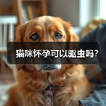猫咪怀孕可以驱虫吗?(图4) 猫咪怀孕可以驱虫吗?(图4)