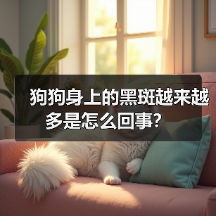 狗狗身上的黑斑越来越多是怎么回事?(图1) 狗狗身上的黑斑越来越多是怎么回事?(图1)